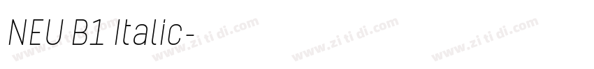 NEU B1 Italic字体转换 NEU B1 Italic字体转换
